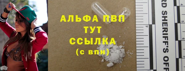 PSILOCYBIN Алзамай