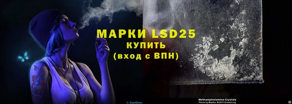 PSILOCYBIN Алзамай