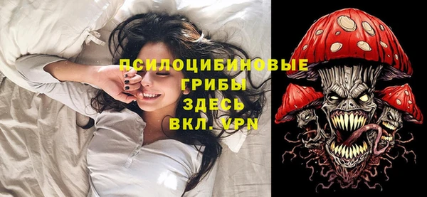 PSILOCYBIN Алзамай