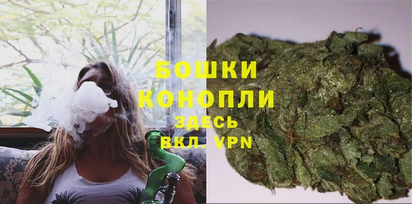 молекула духа Вязьма