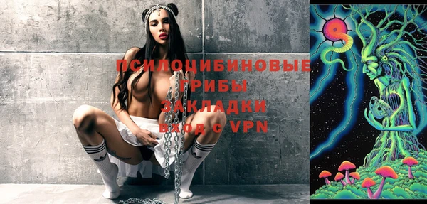 PSILOCYBIN Алзамай