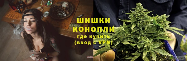 PSILOCYBIN Алзамай