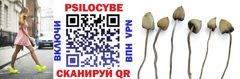 Псилоцибиновые грибы Psilocybine cubensis магазин наркотиков Лениногорск