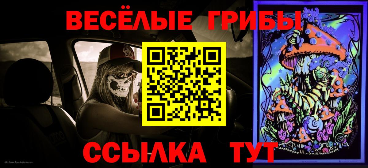 купить наркотики сайты  Вход с VPN  Лениногорск  Псилоцибиновые грибы Psilocybe 